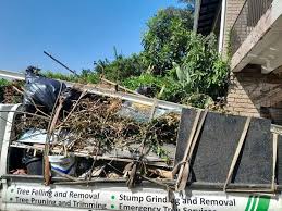 Best Shed Removal in Suitland, MD